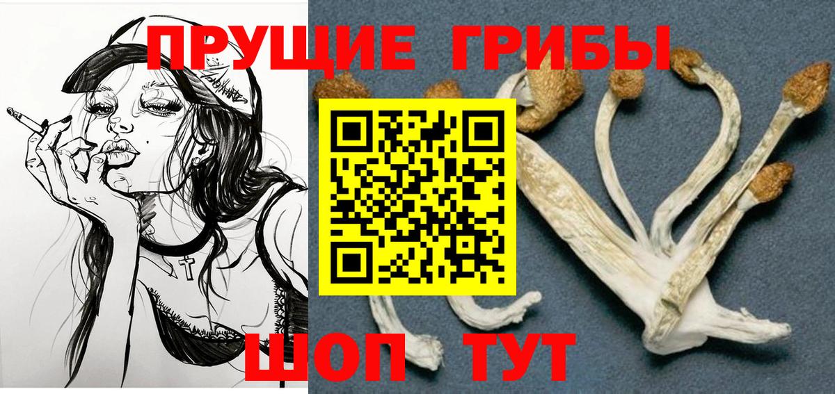Галлюциногенные грибы GOLDEN TEACHER Зима