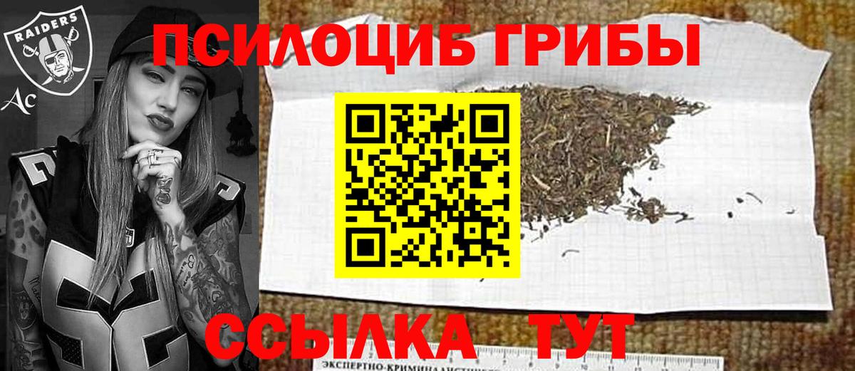Псилоцибиновые грибы ЛСД  купить  цена  Вход с VPN  Зима  Псилоцибиновые грибы MAGIC MUSHROOMS 